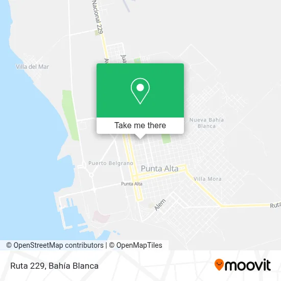 Ruta 229 map