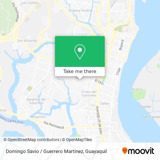 Domingo Savio / Guerrero Martinez map
