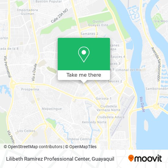 Lilibeth Ramírez Professional Center map