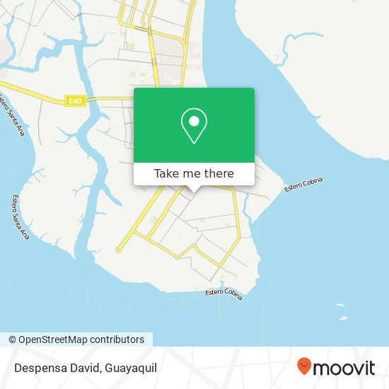 Despensa David map