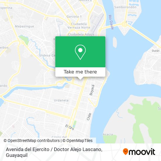 Avenida del Ejercito / Doctor Alejo Lascano map