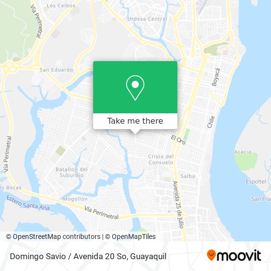 Mapa de Domingo Savio / Avenida 20 So