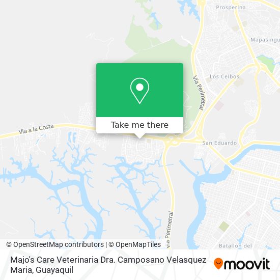 Majo's Care Veterinaria Dra. Camposano Velasquez Maria map