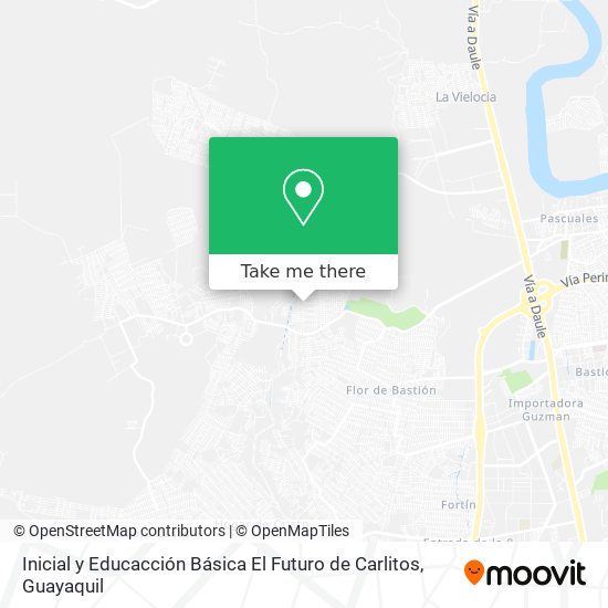 Mapa de Inicial y Educacción Básica El Futuro de Carlitos