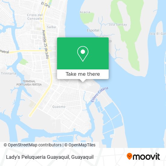 Lady's Peluquería Guayaquil map