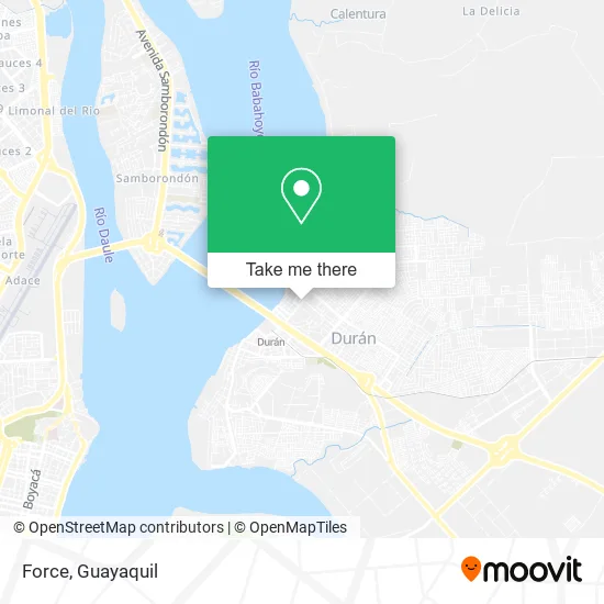 Force map