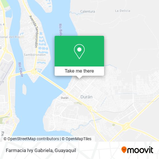 Farmacia Ivy Gabriela map