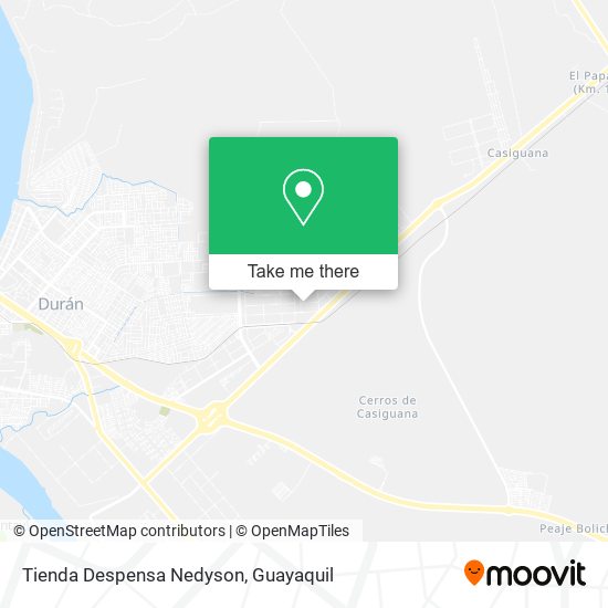 Tienda Despensa Nedyson map