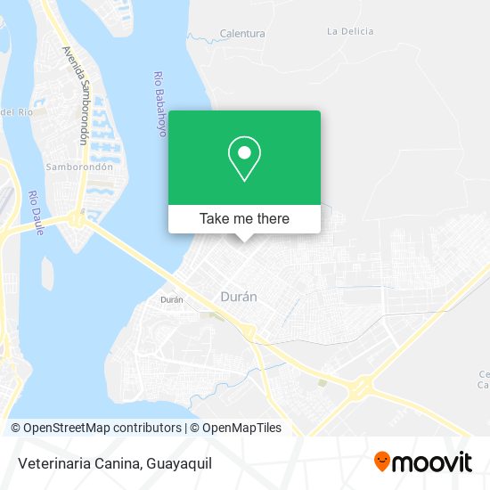 Mapa de Veterinaria Canina