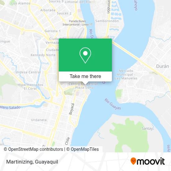 Martinizing map