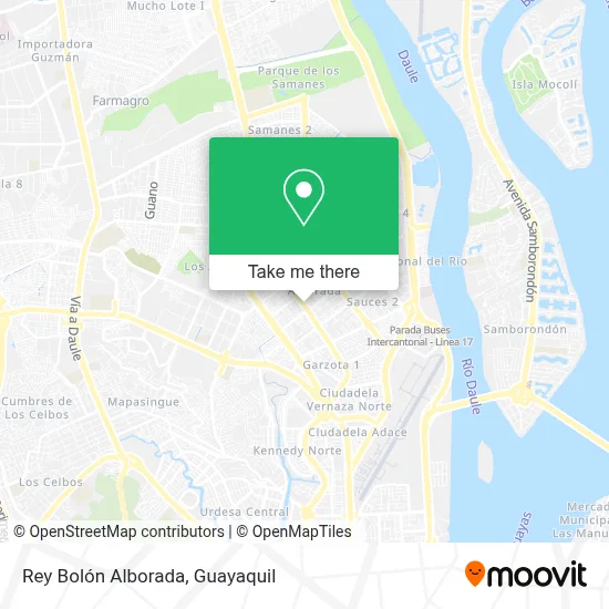 Rey Bolón Alborada map
