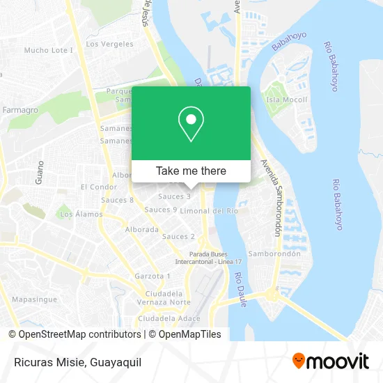 Ricuras Misie map