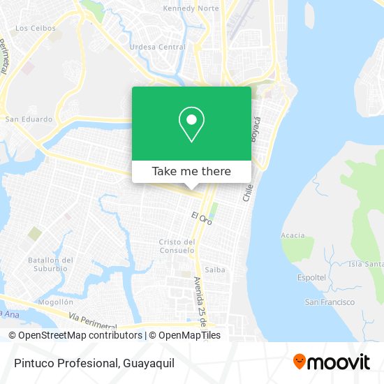 Mapa de Pintuco Profesional