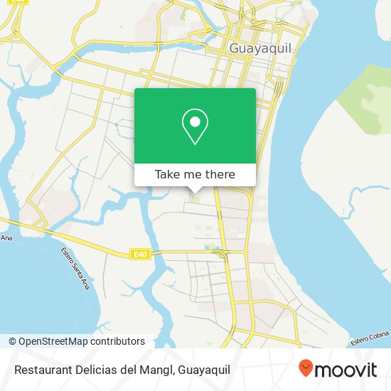 Restaurant Delicias del Mangl, Arturo Serrano Guayaquil, Guayaquil map