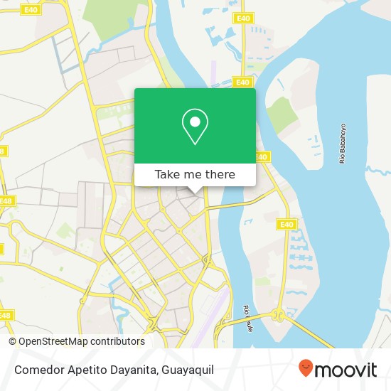 Comedor Apetito Dayanita, Diagonal 18 NE Guayaquil, Guayaquil map