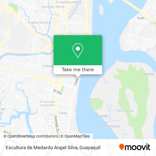 Escultura de Medardo Angel Silva map
