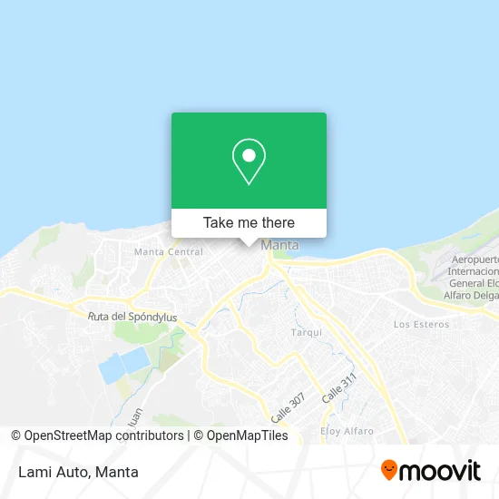 Lami Auto map