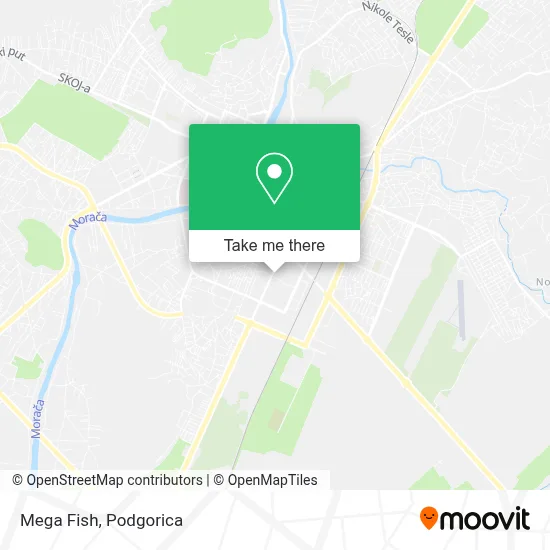 Mega Fish map
