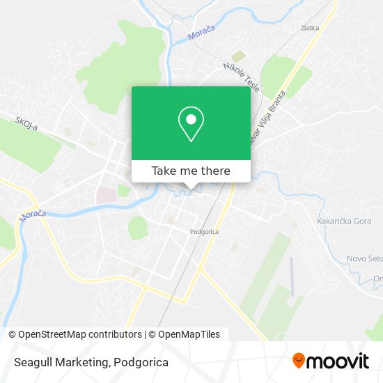 Seagull Marketing map