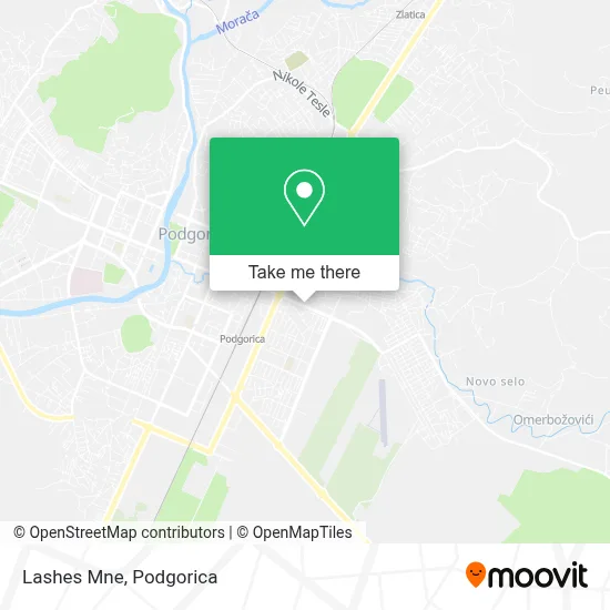 Lashes Mne map