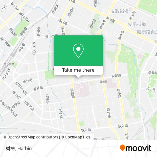 树林 map
