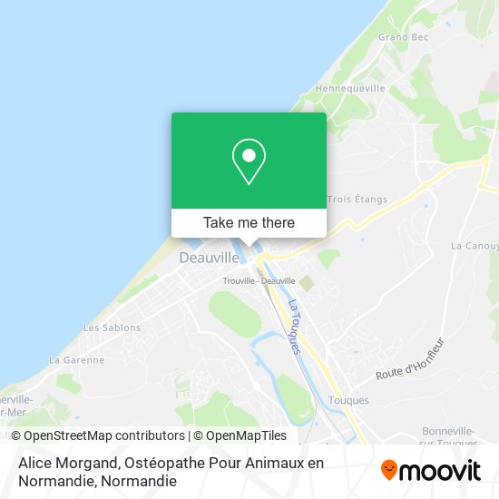 Mapa Alice Morgand, Ostéopathe Pour Animaux en Normandie