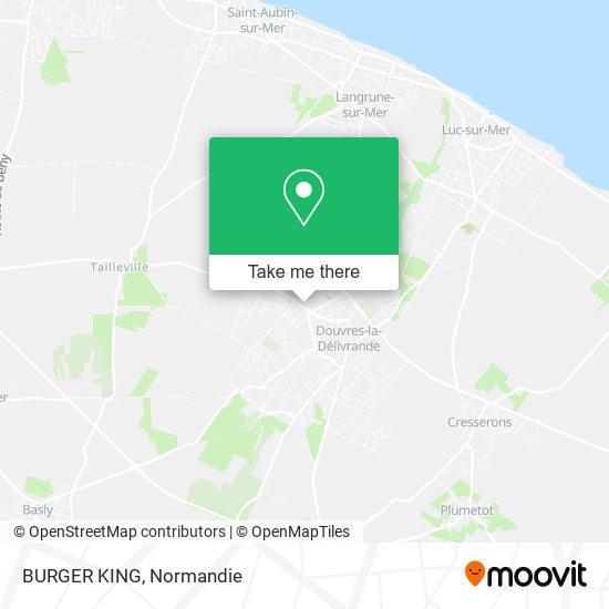 BURGER KING map