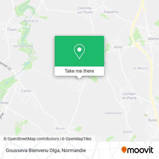 Gousseva Bienvenu Olga map