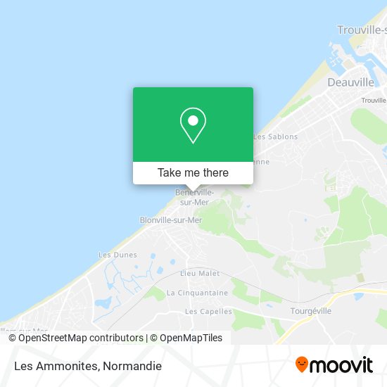 Les Ammonites map