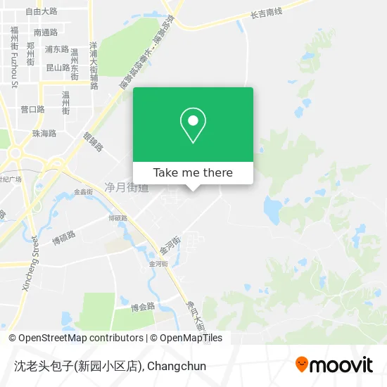 沈老头包子(新园小区店) map