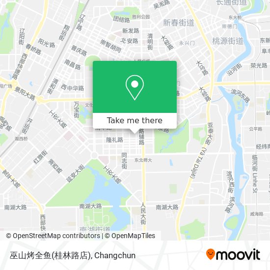 巫山烤全鱼(桂林路店) map