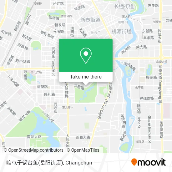 咱屯子锅台鱼(岳阳街店) map