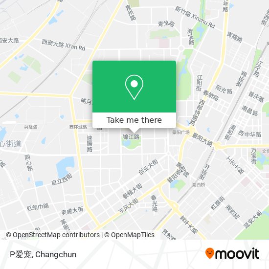 P爱宠 map