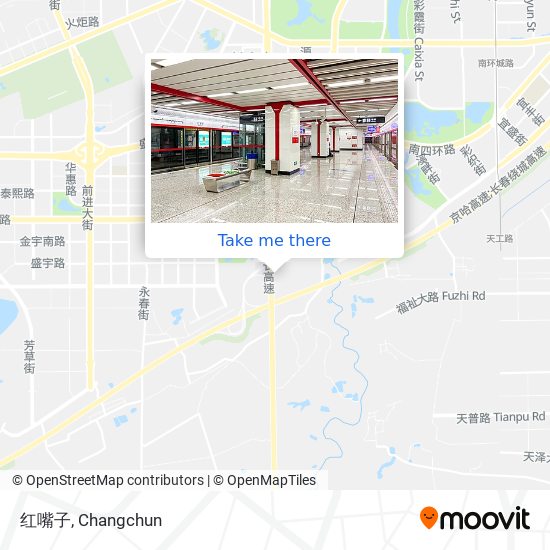 红嘴子 map