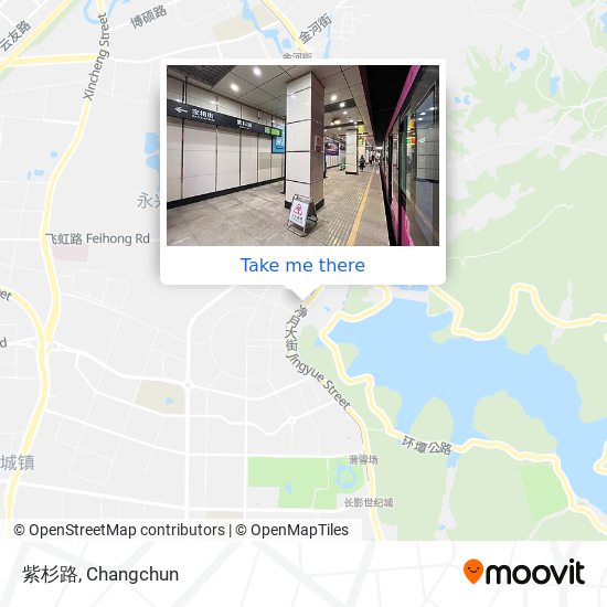 紫杉路 map