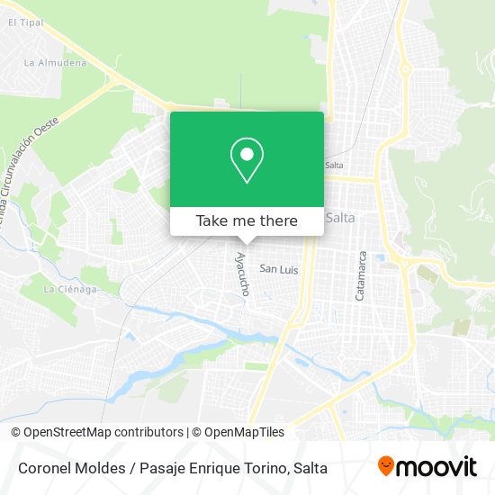 Mapa de Coronel Moldes / Pasaje Enrique Torino
