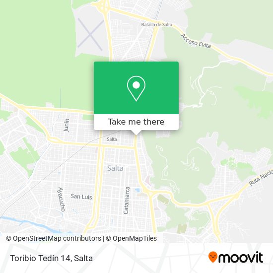 Mapa de Toribio Tedín 14