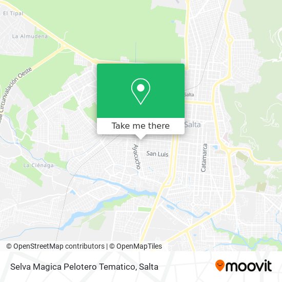 Mapa de Selva Magica Pelotero Tematico