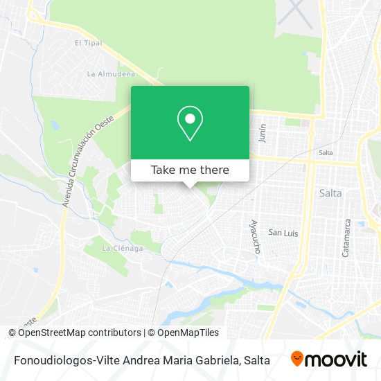 Mapa de Fonoudiologos-Vilte Andrea Maria Gabriela