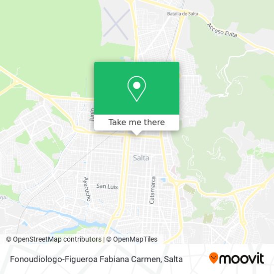 Fonoudiologo-Figueroa Fabiana Carmen map