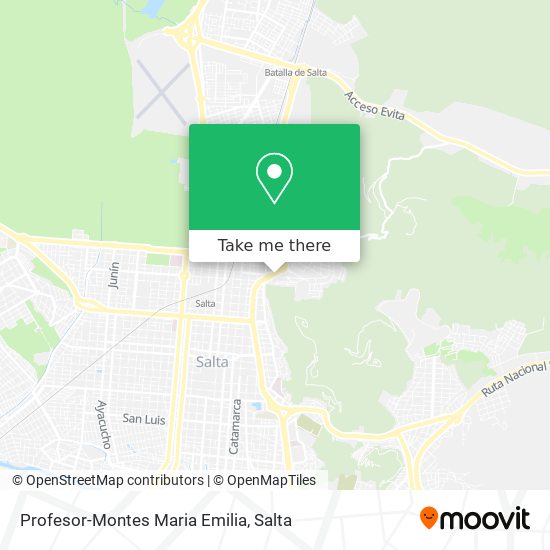 Profesor-Montes Maria Emilia map