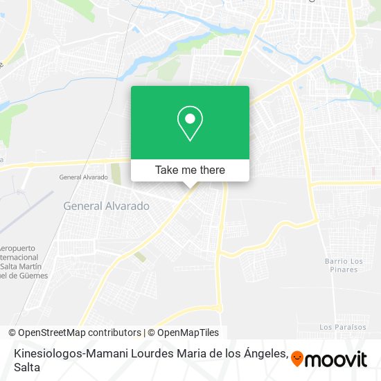 Mapa de Kinesiologos-Mamani Lourdes Maria de los Ángeles
