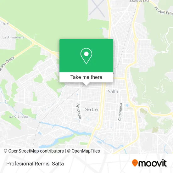 Profesional Remis map