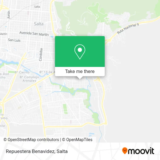 Repuestera Benavidez map