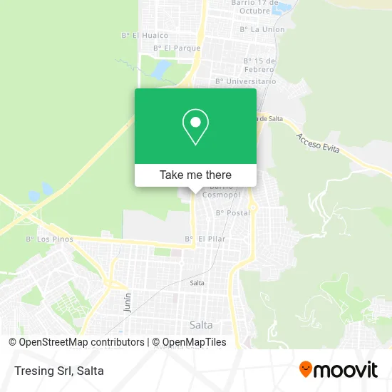 Tresing Srl map