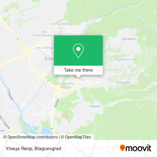 Карта Улица Явор