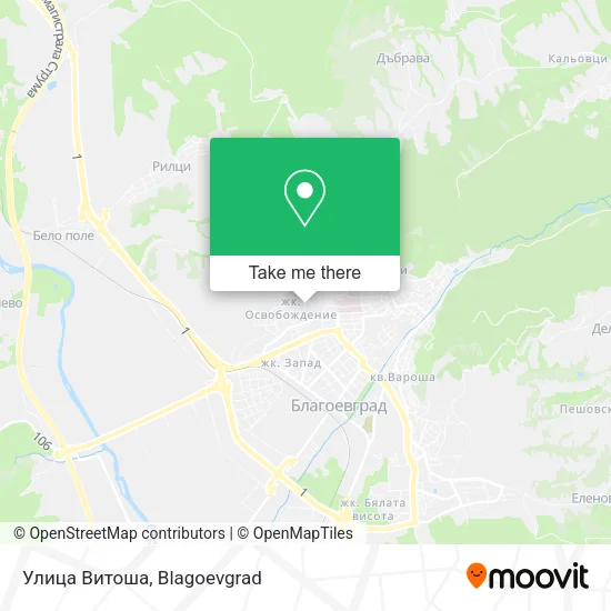 Карта Улица Витоша