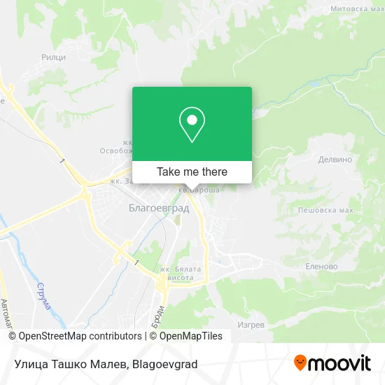Карта Улица Ташко Малев