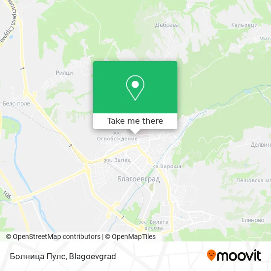 Карта Болница Пулс