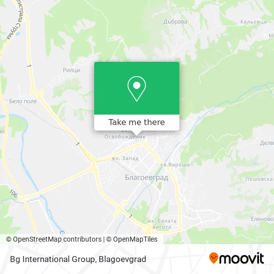 Карта Bg International Group